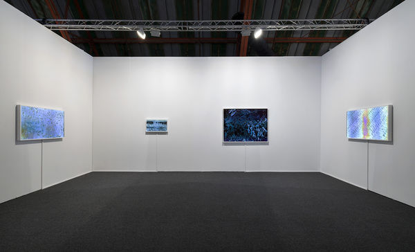 Art Los Angeles Contemporary 2015 Solo presentation: Matthew Brandt