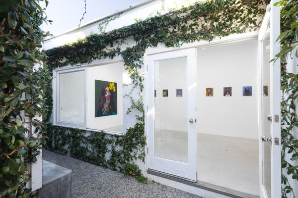 Trude Viken Unmasked