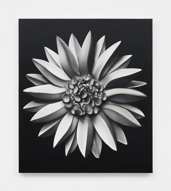 Kara Joslyn: Mirror Window Door M+B Almont