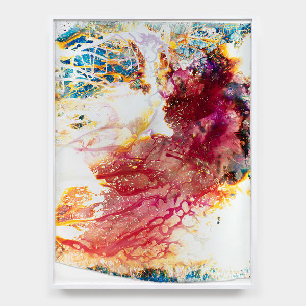 Mariah Robertson Twenty Years of M+B Photography