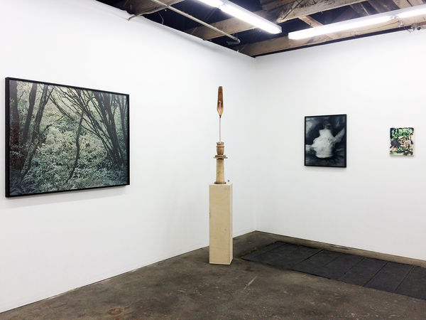 Installation view of Lost in a Sea of Red at The Pit, 2015