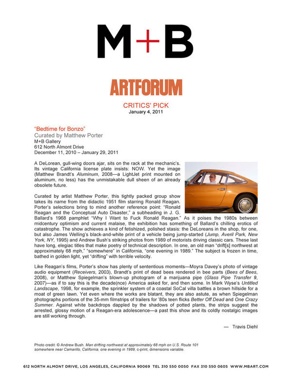 ARTFORUM Critics' Pick