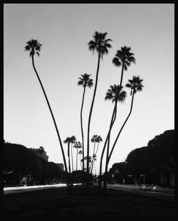 Marie José Jongerius