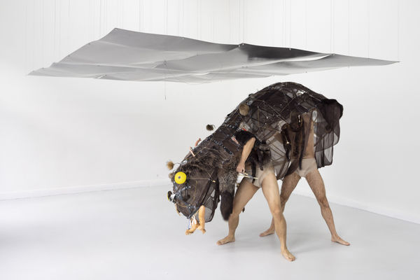 Wiltopia, Tong Kunniao