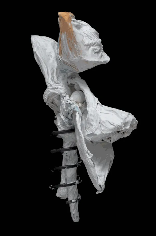 Screen Shot 2023 01 27 At 5 19 09 Pm