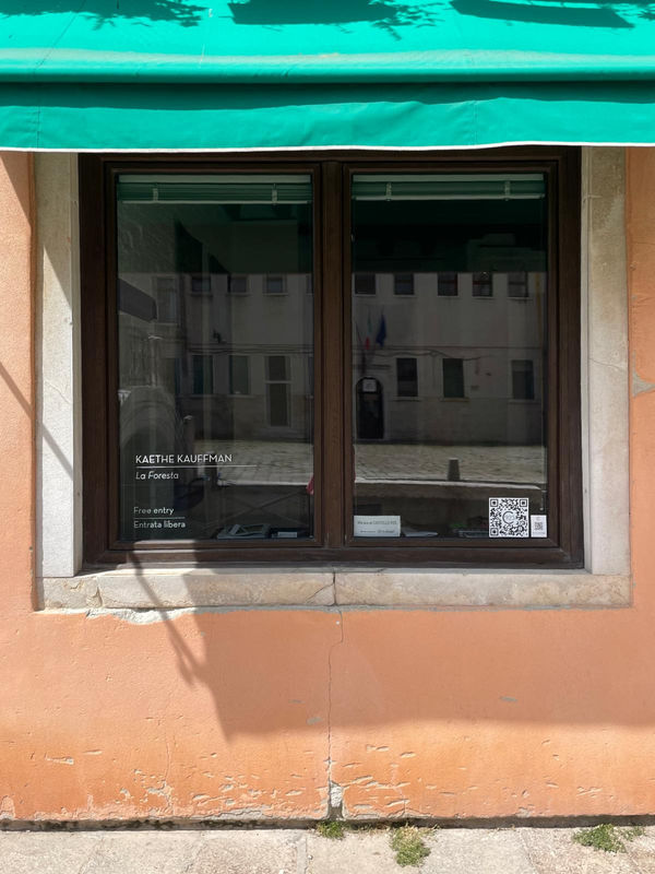 2E4413A9 0710 458D A486 D6E9D86C8109