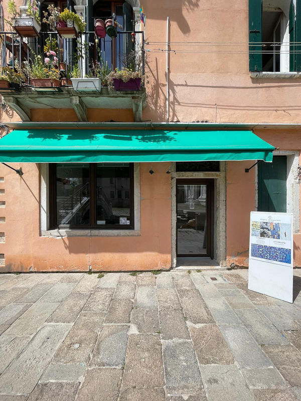 D337Bbe5 E7Fe 44Bf B7C9 97Af96F90Fb1