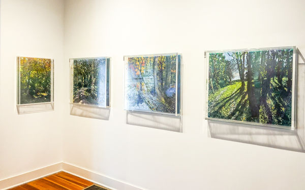 303D1801 Fee3 40A6 9E0D E269E084Bcf4 2