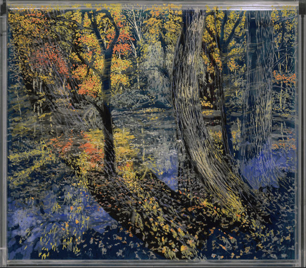 Pond, Fall, Morning Under Afternoon © Martin Weinstein 2021