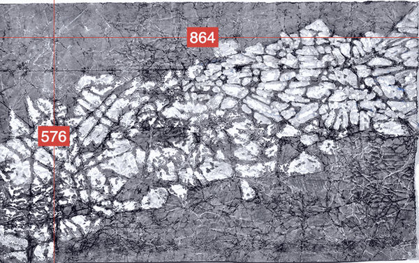 Tree 6 © Iain Machell 2021