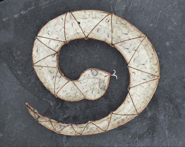 Snake (Satopril) © Christy Rupp