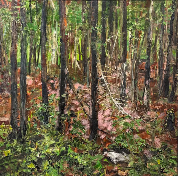 Anne Leith | Woodstock Woodlands | 2024 | oil on board | 24 X 24 In