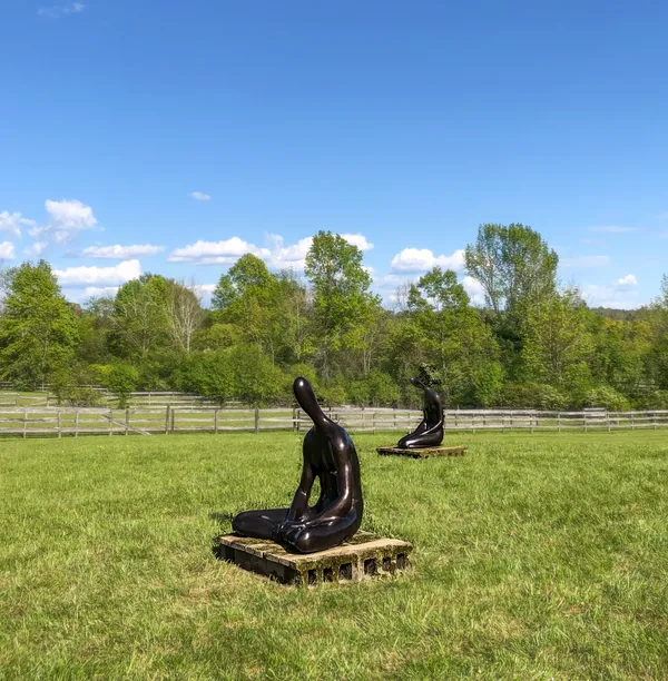 Emil Alzamora, Gullfoss and Dittefoss