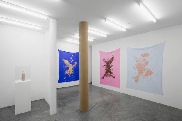 Pamela Rosenkranz The Most Important Body Of Water Is Yours 2010 Karma International Zurich 1