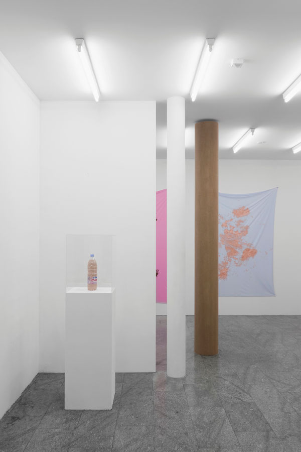 Pamela Rosenkranz The Most Important Body Of Water Is Yours 2010 Karma International Zurich 4