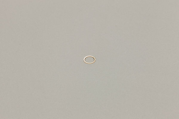 Carissa Rodriguez 2012 Karma International Zurich 6