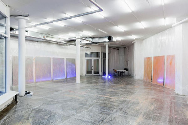 Pamela Rosenkranz My Sexuality 2014 Karma International Zurich 1