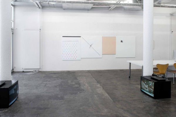 Group Show We Are All Cats 2015 Karma International Zurich 4