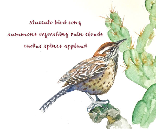 The Art & Poetry of Noticing - Papago Park