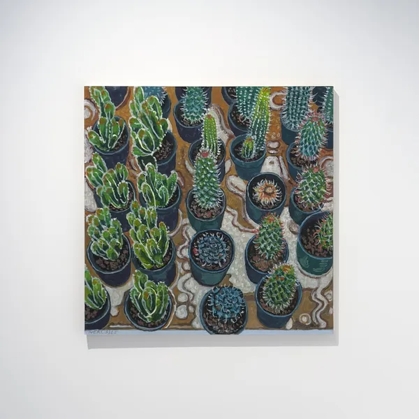 Patrick Neal, Cacti (Allerton Park Greenhouse), 2025