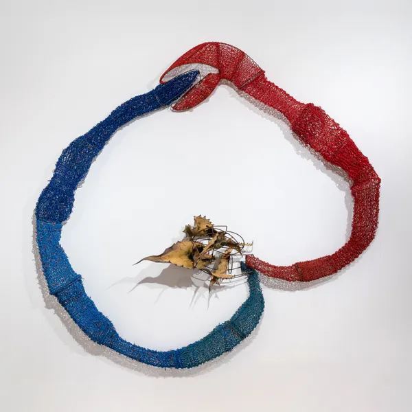 Susana Guerrero, Medusa Head Transformed Ouroboros | Cabeza Medusa Convertida Ouroboros, 2024