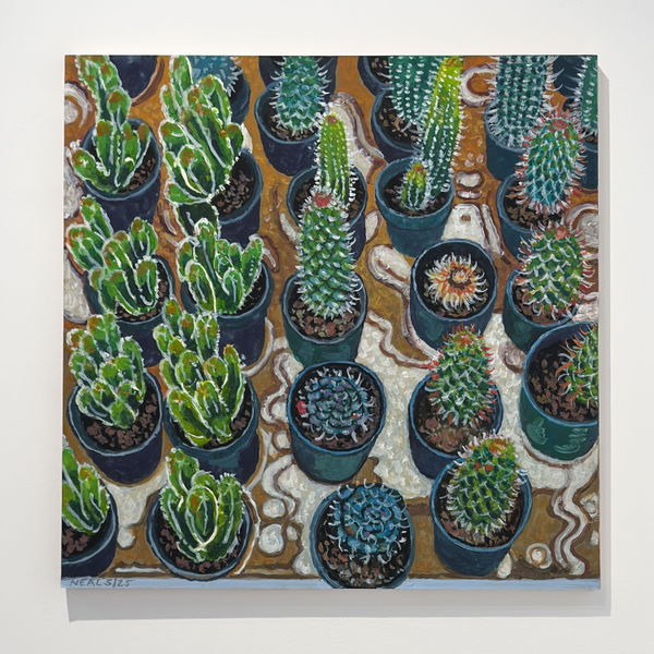 Patrick Neal, Cacti (Allerton Park Greenhouse), 2025