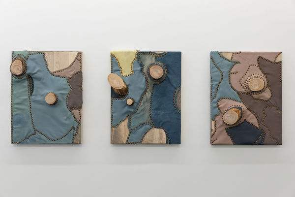 Second Skin: Jean Shin Solo Exhibition