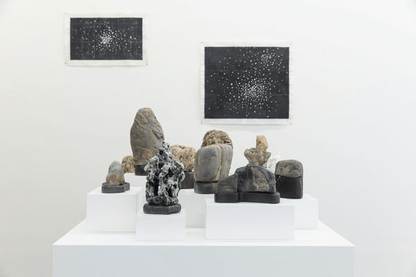 Re/Generation: Yu-Wen Wu Solo Exhibition