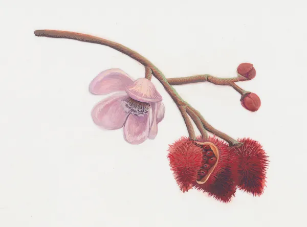 Independent Art Fair, Helina Metaferia & Joiri Minaya