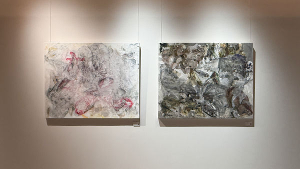 Katy Sayers Green Noahs Woods 14