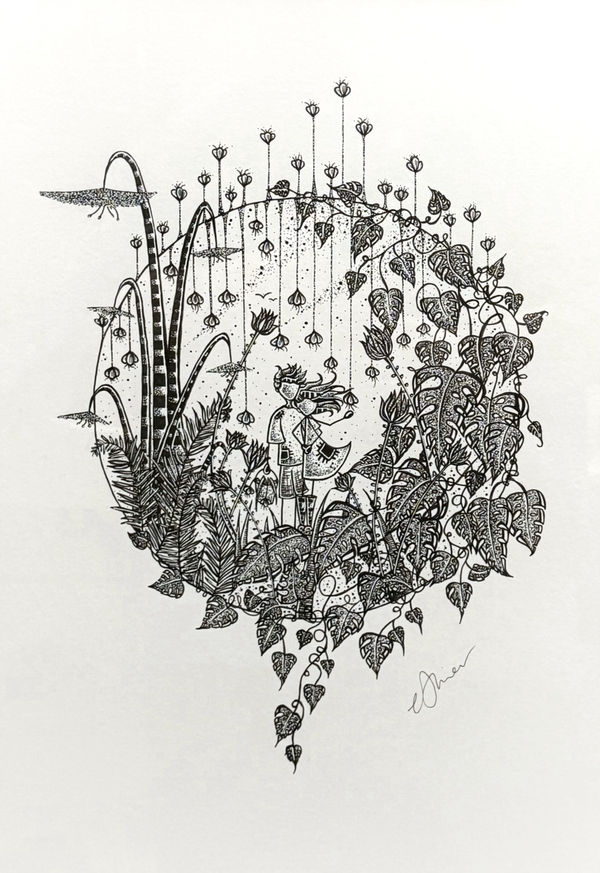 Buy art artwork graphic printmaker pen ink highand scotland scottish artist dingwall alchemist gallery exhibition Growing together