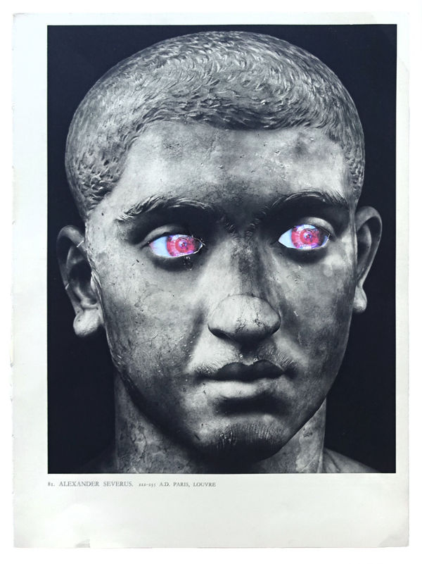 Robcherry Alexanderseverus 2018