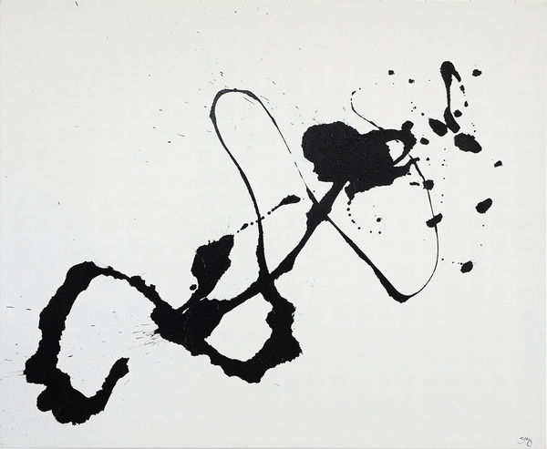 She 995Mmx1205Mm Email