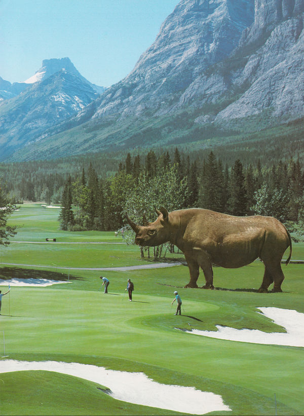 Archer Brian Theres A Bloody Great Rhino Fairway Large
