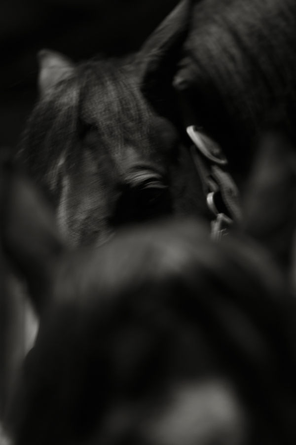 30Bruceconnew Bodyofwork