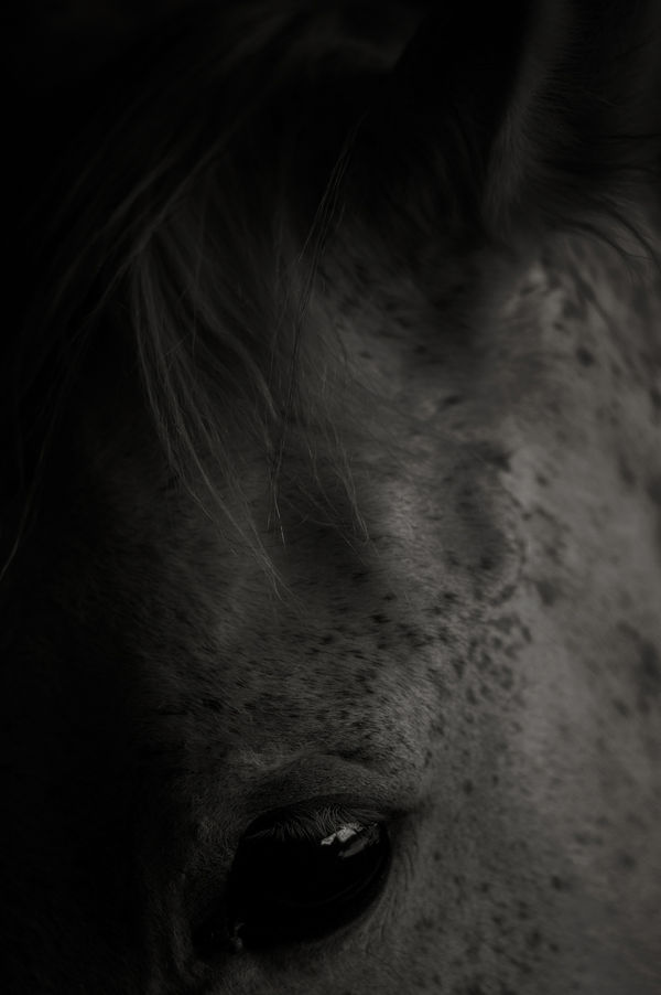 36Bruceconnew Bodyofwork