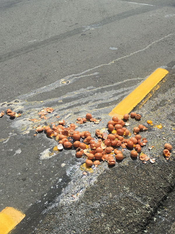 Rob Cherry, Bena Jackson | Golden Light at the Dairy