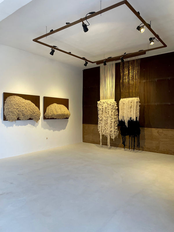 Mcc Installation View 2