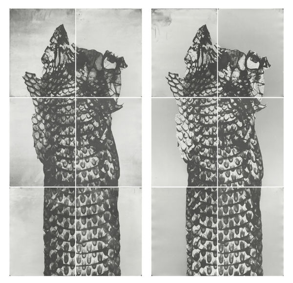 Les formes muettes Houda Kabbaj