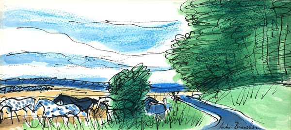 André Brasilier, Chevaux indiens