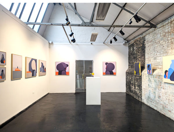 Masi Installation 13