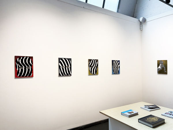 Installation Image 3