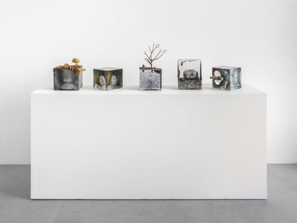 Kuber Bertil Vallien Galleri Glas