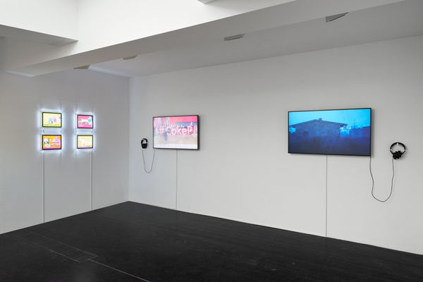 COMBINED FISH 2017 Pigment Print 11 x 11 cm