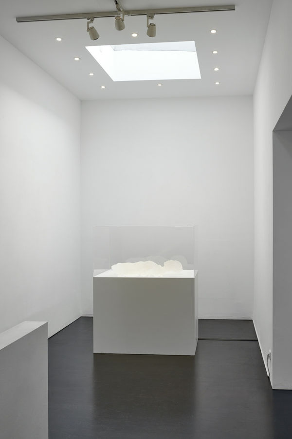 COMBINED FISH 2017 Pigment Print 11 x 11 cm