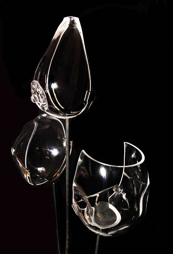 Camila Ospina Gaitan, Male Gaze