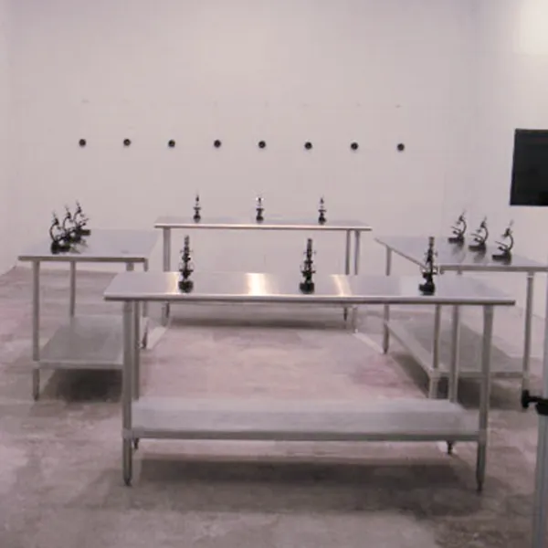 The Blind Architect Alexander Pilis