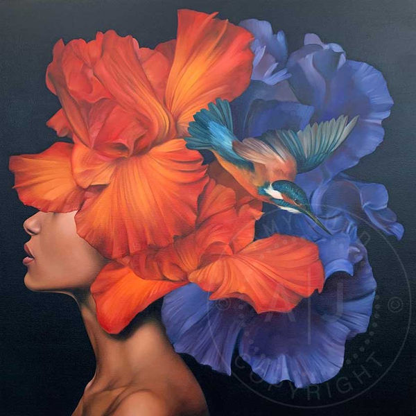 Amy Judd 45 Park Lane