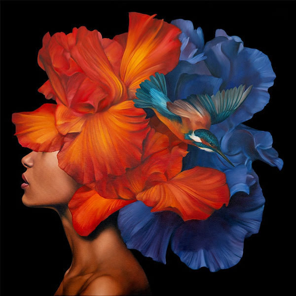 Amy Judd Efflorescence