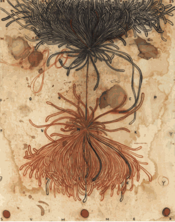 ∞ A COLLECTION OF WORKS BY SOPHU8